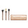 BLOOM + GLOW BRUSH SET