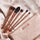 ICONIC BRUSH SET
