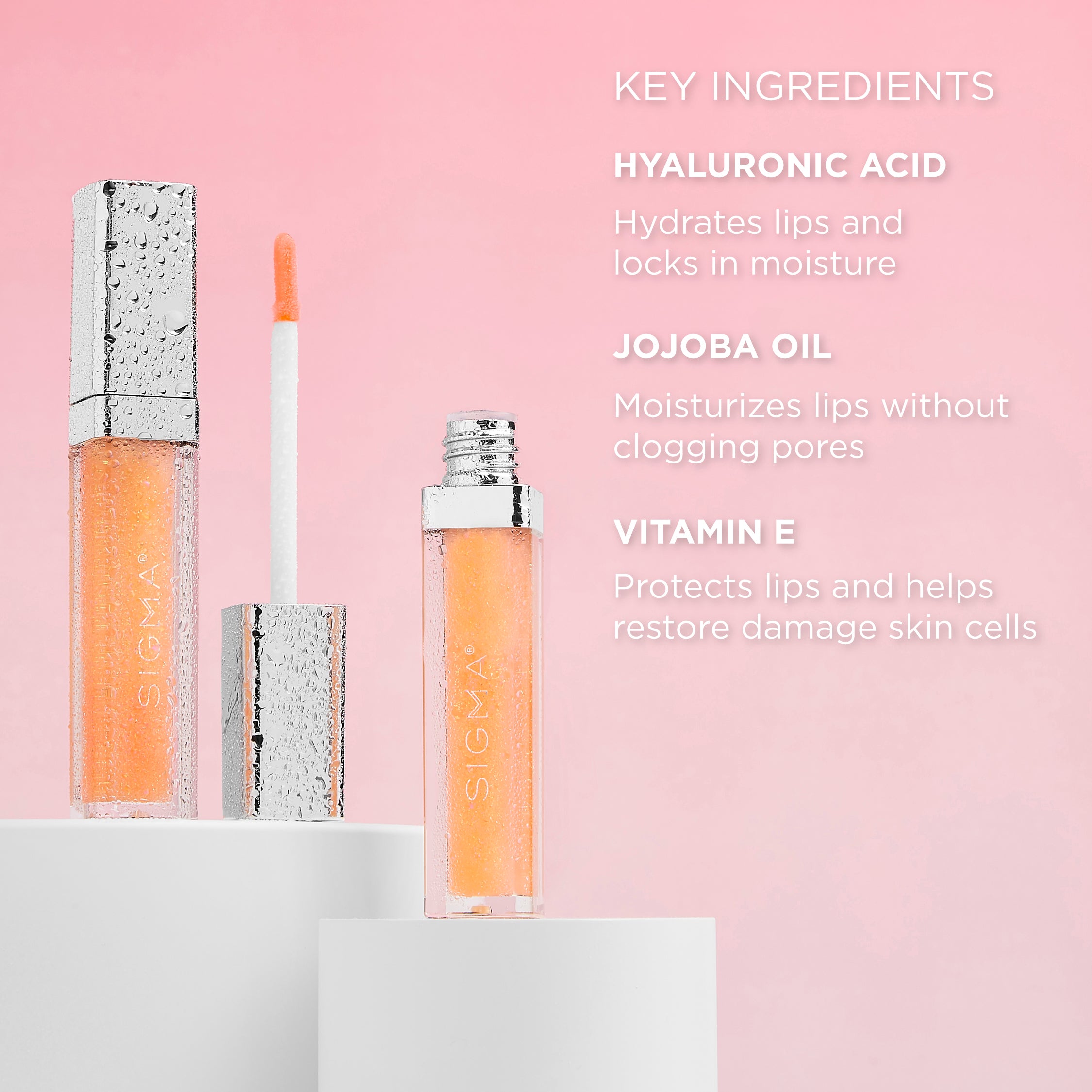 Lip Gloss Key Ingredients