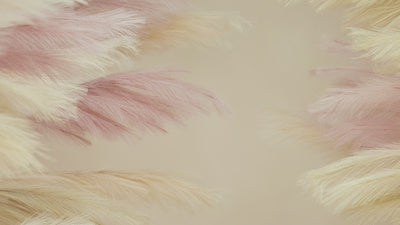 DIANA SALDANA EYESHADOW PALETTE