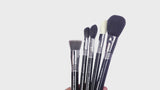 CLASSIC FACE BRUSH SET DEMO VIDEO