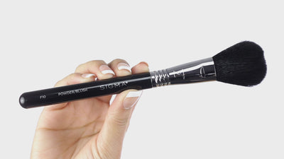 F10 Powder/Blush Brush Demo Video