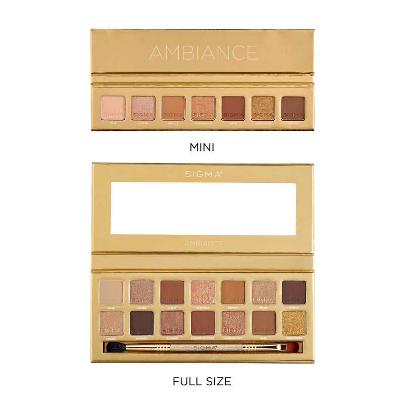 Ambiance Eyeshadow Palettes Mini and Full Size