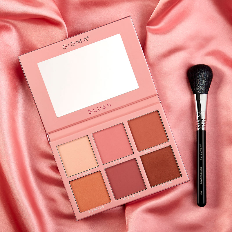 BLUSH CHEEK PALETTE WITH F10 POWDER/BLUSH BRUSH
