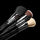 CLASSIC FACE BRUSH SET