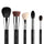 CLASSIC FACE BRUSH SET
