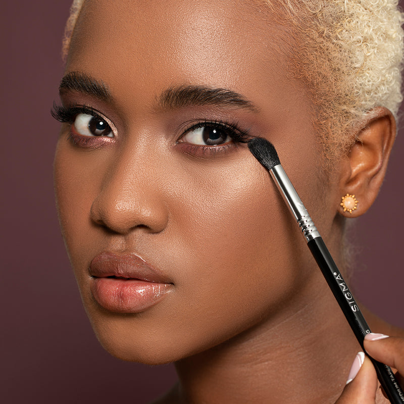 E49 MEDIUM TAPERED BLENDING BRUSH MODEL IMAGE