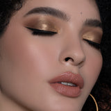 E70 MEDIUM ANGLED SHADING BRUSH MODEL IMAGE