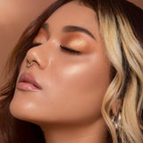 F53 AIR CONTOUR/BLUSH™ BRUSH MODEL IMAGE