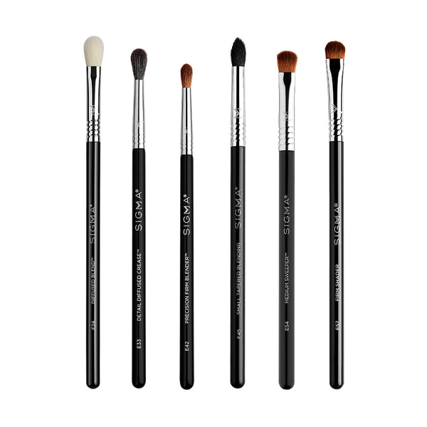 HEATHER AUSTIN FAVORITES BRUSH SET