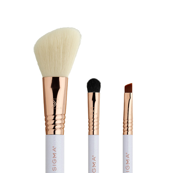 ELITE TRAVEL BRUSH SET