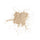 Soft Focus Setting Powder - Vanilla Bean Swatch