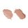 SPECTRUM COLOR-CORRECTING DUO LIGHT TO MEDIUM
