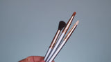 Disney Cinderella Fairytale Brush Set Demo Video