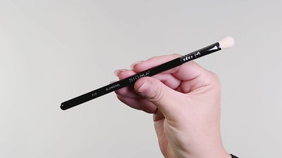 E25 BLENDING BRUSH DEMO VIDEO